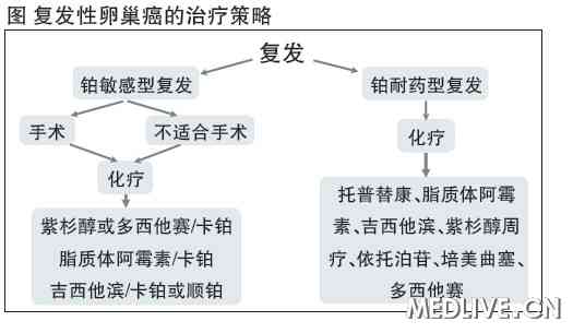 复发性卵巢癌的治疗策略