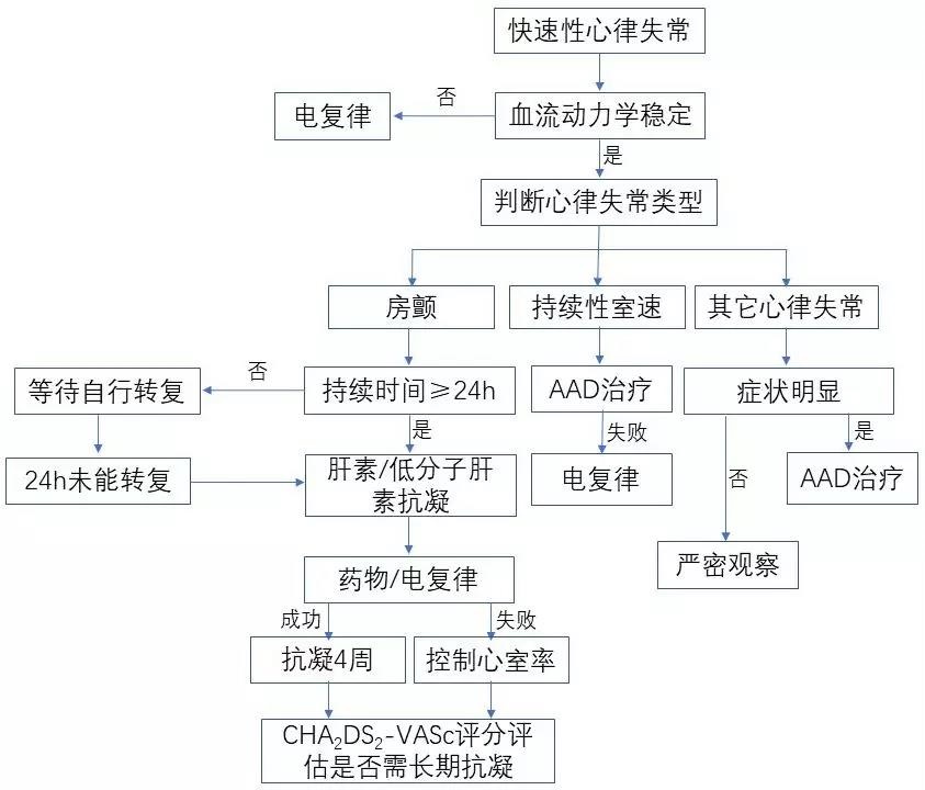 图1. 新冠肺炎患者快速性心律失常急诊处理流程